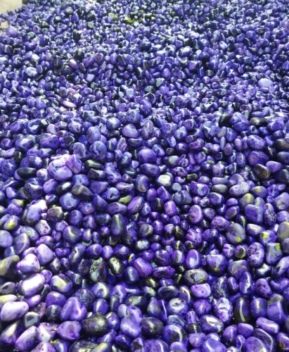 Dyed (Purple) Tree Agate Tumbled Stones