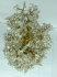 EXTRA-LARGE 2000 Gemstones Crystal Quartz wood base Agate Stone Gemstone Tree