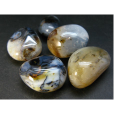 Dendritic Agate Tumbled Stones