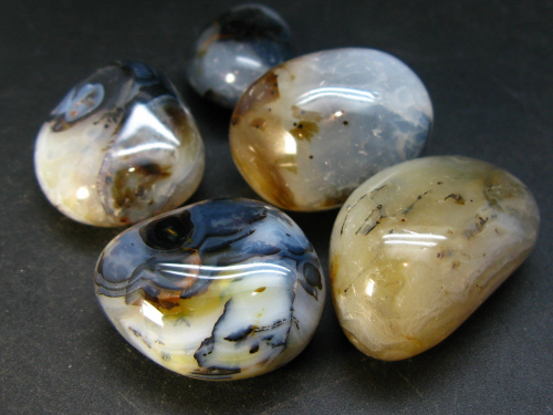 Dendritic Agate Tumbled Stones