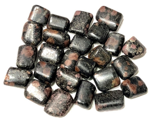 Spinal Matrix Tumbled Stones