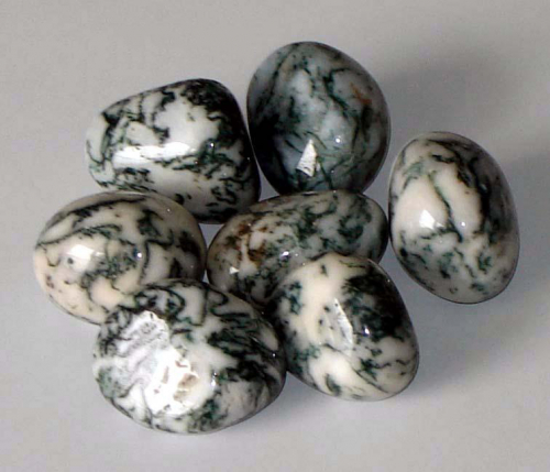 Tree Agate Tumbled Stones
