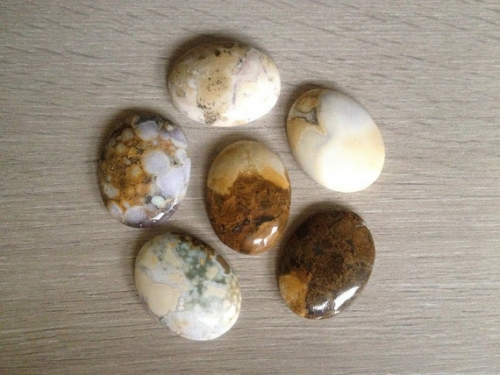 Conglomerate Palm Stone