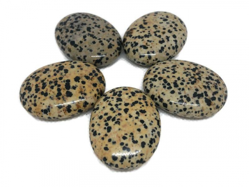 Dalmatian Jasper Palm Stone